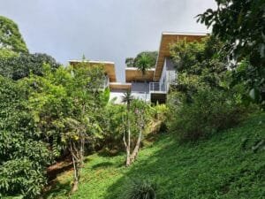 Diseño y construcción de proyecto Casa Orchard